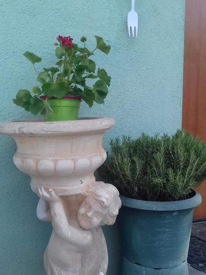 Casa Allorello * Laureana Cilento