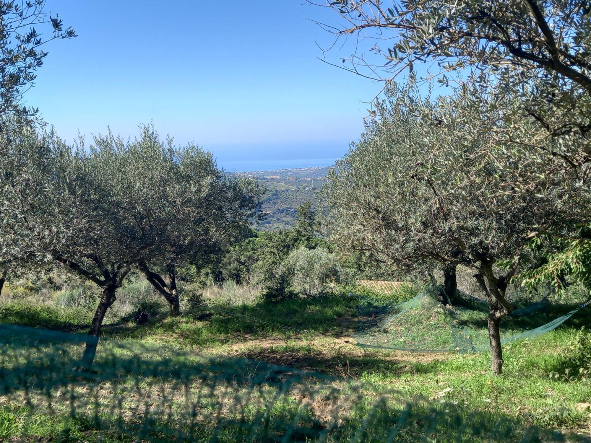 Bed & Breakfast Casa Allorello *