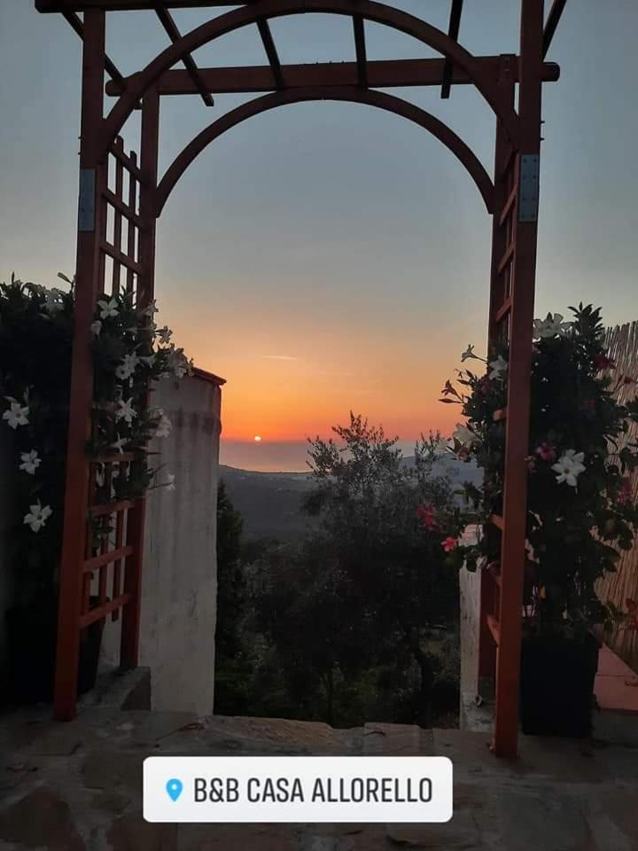 Casa Allorello Bed & Breakfast Laureana Cilento
