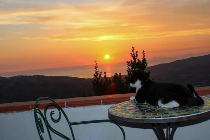 Casa Allorello Bed & Breakfast