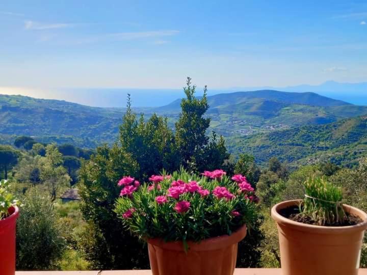 Bed & Breakfast Casa Allorello Laureana Cilento